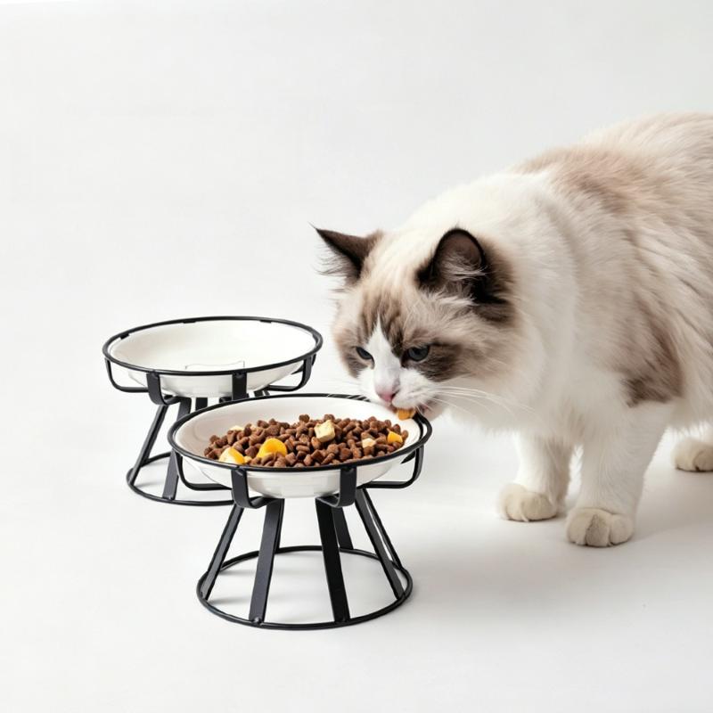ชามเซรามิกยกสูงสำหรับใส่อาหารแ - Food Snacks Drinks บทวิจารณ์และราคา