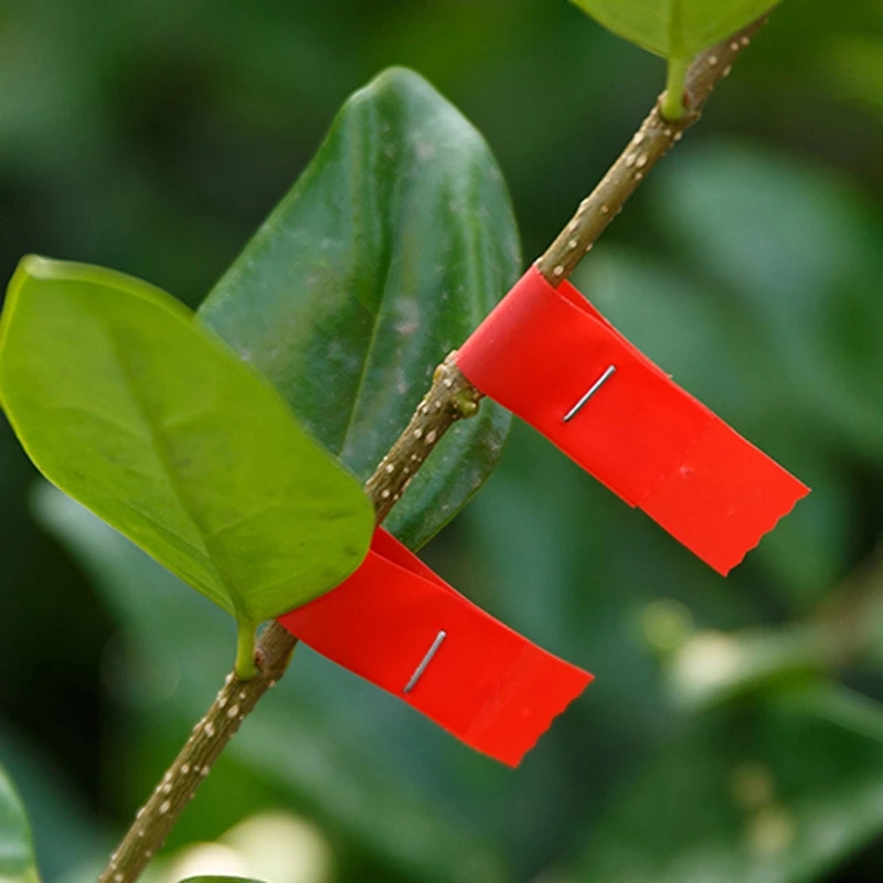 สวนโรงงาน Tapetool 30เมตร/ชิ้น - Fruit Roll Up บทวิจารณ์และราคา